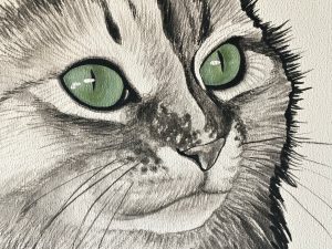 grüne Katzen-Augen